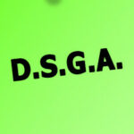 CONCORSO DSGA